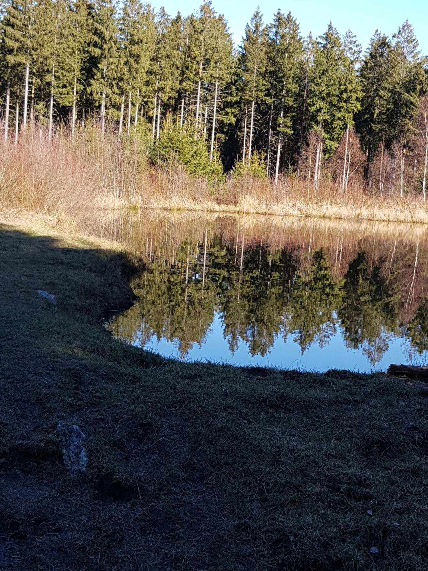 Ferienwohnung Monschauer Land Exteriér fotografie